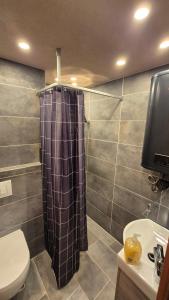 a bathroom with a shower and a toilet and a sink at Suita 305 in Kranjska Gora
