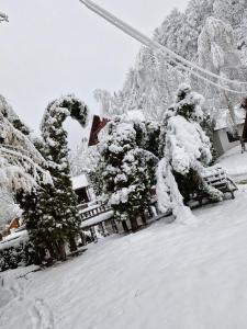 Το Rare Forest Retreat & Spa τον χειμώνα