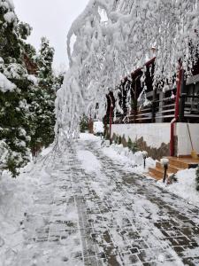 Το Rare Forest Retreat & Spa τον χειμώνα