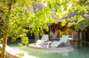 Bazén v ubytování Bamboo Zanzibar nebo v jeho okolí