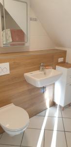 un baño con lavabo e inodoro en Gästehaus Siebengebirge, en Königswinter