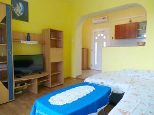 TV a/nebo společenská místnost v ubytování Apartment Nedo