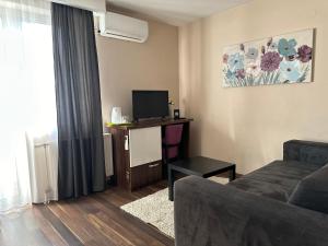 TV a/nebo společenská místnost v ubytování Garni Hotel Niš City View