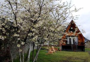 Κήπος έξω από το Thomas' Hut