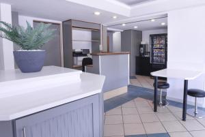 een keuken met een potplant op een aanrecht bij SUN1 Foreshore Cape Town in Kaapstad +7 foto's