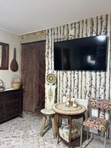 TV a/nebo společenská místnost v ubytování Casa Rural Area con piscina