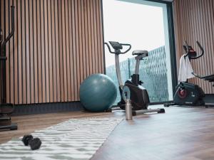 Fitness centrum a/nebo fitness zařízení v ubytování ibis Styles Thonon-les-Bains