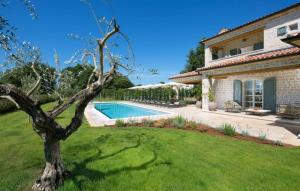 Πισίνα στο ή κοντά στο Beautiful Villa Nevia with pool in Kanfanar