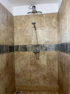 a shower with a shower head on a tiled wall at Lavish 4 bedroom apartment in Curepipe