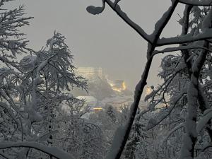 Příroda nedaleko apartmánu