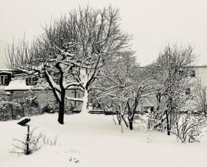 Villa Gartenblick v zimě