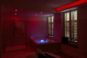 Fotografie z fotogalerie ubytování Suite Atemporelle - SPA room v destinaci Pont-a-Mousson