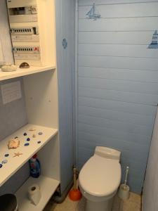 a small bathroom with a white toilet and a shelf at Bray-Dunes avec jardin - 3chambres in Bray-Dunes +15 photos