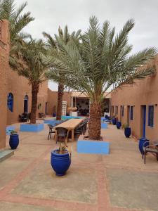 Fotografie z fotogalerie ubytování Hotel Riad Sahara Activity v destinaci Mhamid