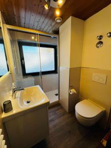 a bathroom with a white sink and a toilet at Allgäu Appartementhaus Appartement ALLGÄU 08 in Pfronten