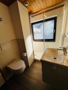 a small bathroom with a toilet and a sink at Allgäu Appartementhaus Appartement ALLGÄU 09 in Pfronten