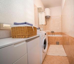 a laundry room with a washing machine and a sink at Apartment Dubravka in Povljana