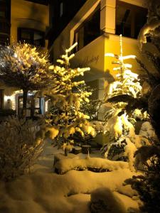 Gasthof Bocking talvel