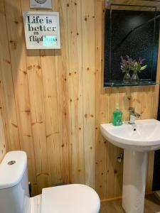 a bathroom with a white toilet and a sink at The Lookout in Padstow +15 photos