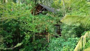 Zahrada ubytování Jungle Village Unawatuna