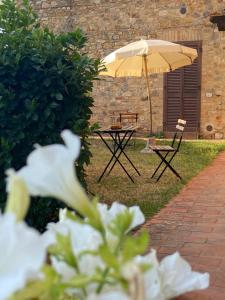 Gallery image of CasaLeTolfe Residence in Siena