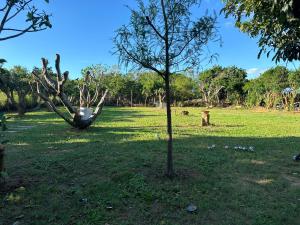 Fotografie z fotogalerie ubytování 大光畫莊庭院 v destinaci Hengchun Old Town
