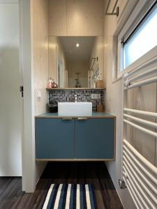 ミツラントにあるAnpektop - Ecohuisjes Terschellingの洗面台と鏡のあるバスルーム