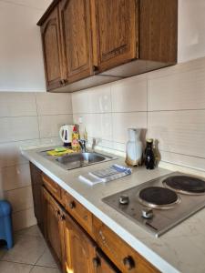 Küche/Küchenzeile in der Unterkunft Apartments Josi
