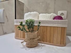 Ein Bett oder Betten in einem Zimmer der Unterkunft Apartments Josi