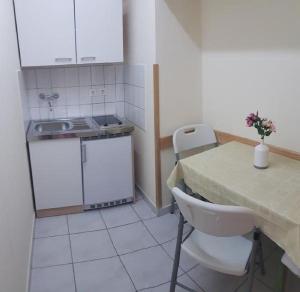 Kuchyň nebo kuchyňský kout v ubytování Apartments Jope