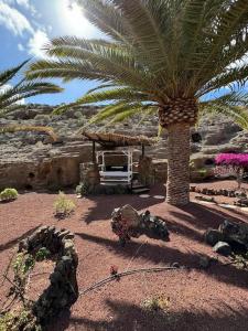 a palm tree and a bench in a garden at Castillo Lanzarote Villa Antonia in Tías