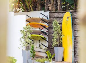 Chabee N Jay Villa Madiha Beach في ماتارا: جدار مع لوح ركوب الأمواج والنباتات الفخارية +28 صورة