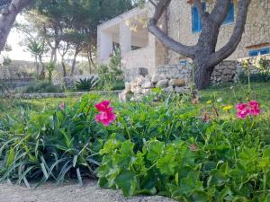 A garden outside Villa Aquarium Még 34 kép