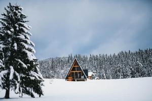 a small cabin in the snow next to a tree at Moldav-A Frame in Câmpulung Moldovenesc