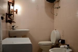 une salle de bains avec toilettes et lavabo dans l'établissement Hostdomus - Casa Borgata, à Borgata Sestriere 8 autres photos