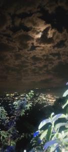 Φωτογραφία από το άλμπουμ του ABM Homestay σε Kalimpong +2 φωτογραφίες