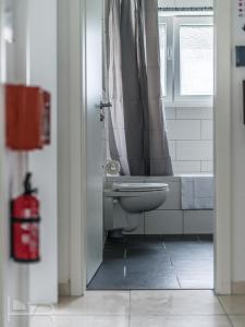 un bagno con wc e finestra di Voll ausgestattete Apartments mit Einzelbetten - Küche - WLAN - PKW-Parkplatz a Rödermark
