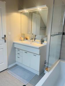 a bathroom with a sink and a shower at Le Duplex - Hyper Centre-Ville - 6 voyageurs in Le Mans