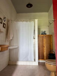 a bathroom with a toilet and a white shower curtain at Casa Vieja Mountain Lodge in Ayacucho