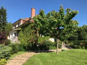 Zahrada ubytování Cour Tholmer