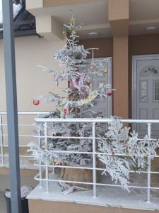 Mynd úr myndasafni af Jelenin konak í Nova Varoš