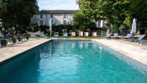 Πισίνα στο ή κοντά στο Château Destinée