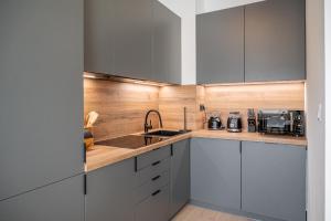 Η κουζίνα ή μικρή κουζίνα στο New Cozy Apartment in Heart of Bratislava FREE GARAGE PARKING