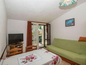 TV a/nebo společenská místnost v ubytování Apartments Dane
