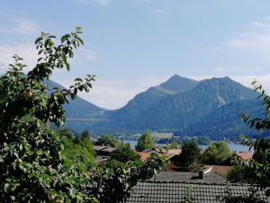 a view of a town with mountains in the background at Almhütte Schliersee in Schliersee