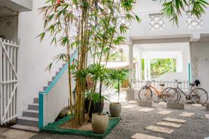 Jízda na kole v ubytování Asanka Surf House & Resturant nebo okolí