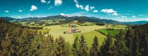 a large green field with a mountain in the background at Gesundheitsbauernhof -Landhof - Offenbacher in Seckau