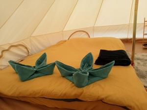 Posezení v ubytování phatang sky view camp ผาตั้งสกายวิวแคมป์ + 35 fotografií