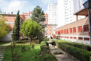 Zahrada ubytování Residencia Zeta Home