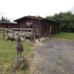 a statue of a bird standing on a stump in front of a building at Hand built log cabin at Avonvale Holiday Lodges in Evesham +8 photos